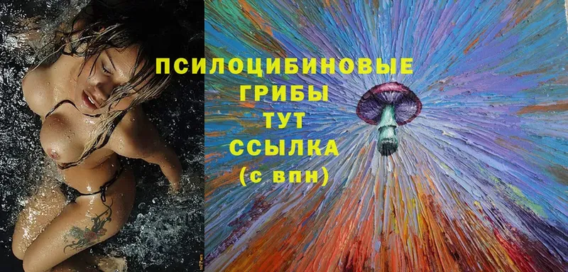 нарко площадка формула  Болохово  Галлюциногенные грибы Psilocybine cubensis  hydra tor 